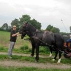 zdjęcie nr 118