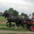 zdjęcie nr 119
