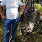 Fotka nr 3 z 44