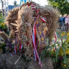zdjęcie nr 224