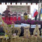 zdjęcie nr 201