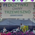 zdjęcie nr 224