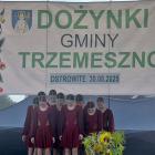 zdjęcie nr 230