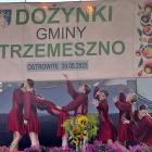 zdjęcie nr 232