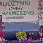 zdjęcie nr 233