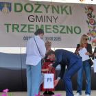 zdjęcie nr 274