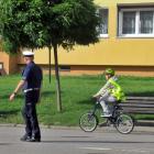 zdjęcie nr 53