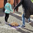zdjęcie nr 55