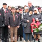 zdjęcie nr 17