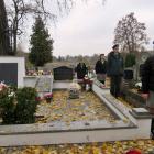 zdjęcie nr 106