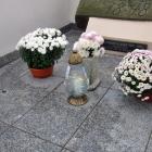 zdjęcie nr 30