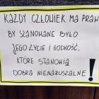 zdjęcie nr 36