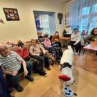 zdjęcie nr 34
