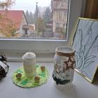 zdjęcie nr 23