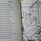 zdjęcie nr 12