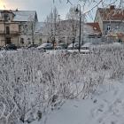 zdjęcie nr 18