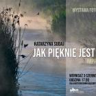 zdjęcie nr 19