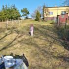 Fotka nr 2 z 13