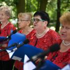 zdjęcie nr 78