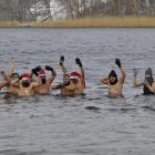 zdjęcie nr 17