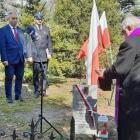 zdjęcie nr 15