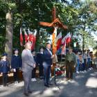 zdjęcie nr 16