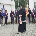 zdjęcie nr 8
