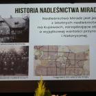 zdjęcie nr 11