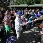 zdjęcie nr 77