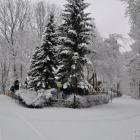 _DSC0670