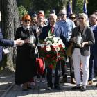 zdjęcie nr 15