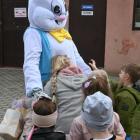 zdjęcie nr 90