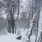 zdjęcie nr 31
