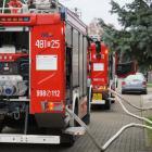 Fotka nr 3 z 21