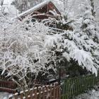 zdjęcie nr 39