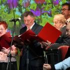 zdjęcie nr 26
