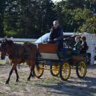 zdjęcie nr 73