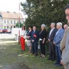 zdjęcie nr 12
