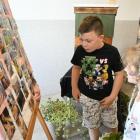 zdjęcie nr 19