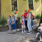 zdjęcie nr 33