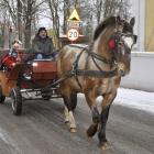 zdjęcie nr 43
