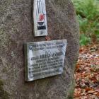 zdjęcie nr 53