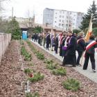zdjęcie nr 18