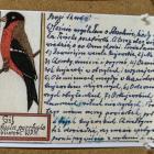 zdjęcie nr 72