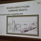 zdjęcie nr 21
