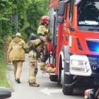 Fotka nr 4 z 52
