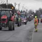 zdjęcie nr 41