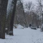zdjęcie nr 33