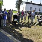 zdjęcie nr 12