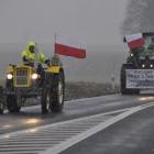 zdjęcie nr 50